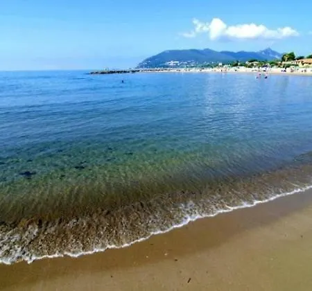 Di Giuseppe *